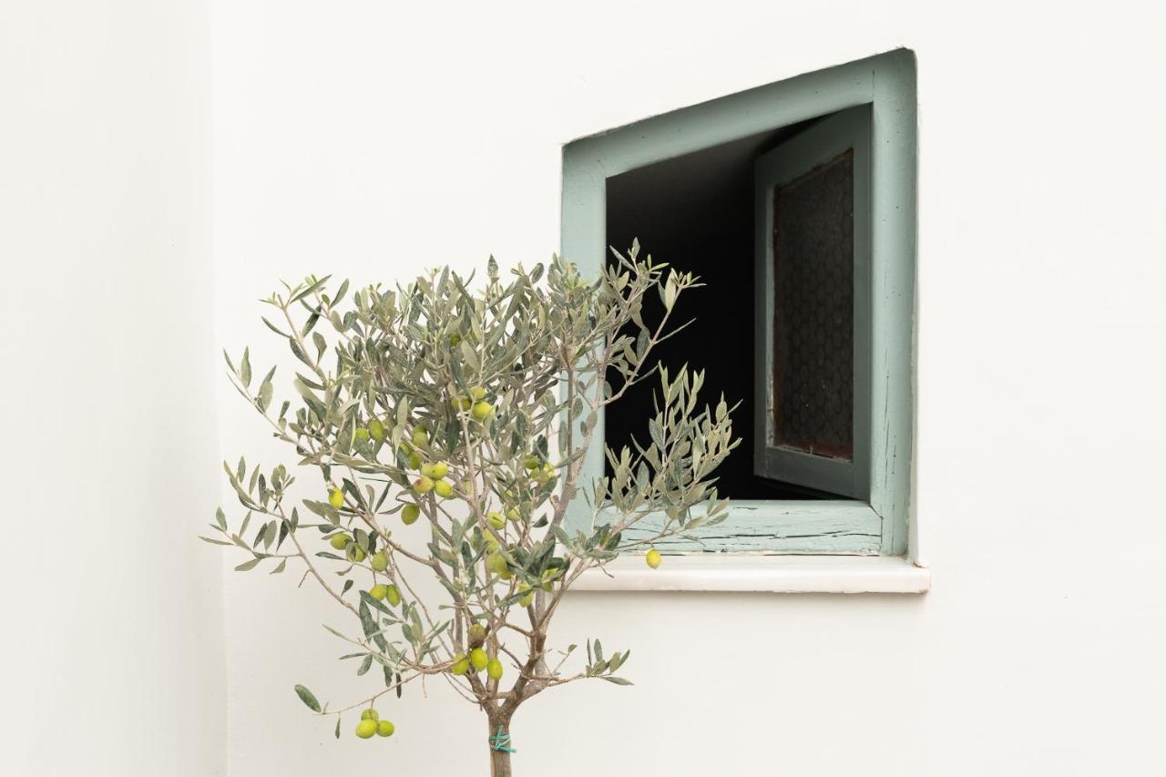 Central5 Boutique Apartments With Common Garden Next To Metro Athen Eksteriør bilde